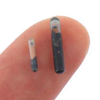 134.2KHZ Microchip Animal RFID Tag For Fish Dog Cat Idetification Implantable Low-frequency Tags
