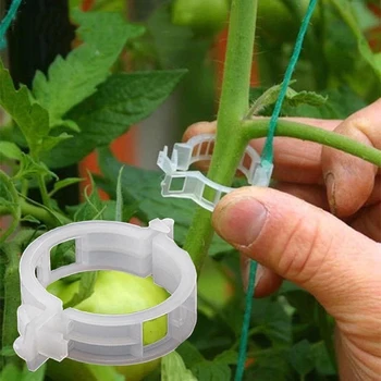 50/100/200Pcs пластмасови клипове за поддръжка на растенията Многократна употреба доматена лоза Trellis клип за 2024 пролет Connect Растения Инструменти Градински консумативи